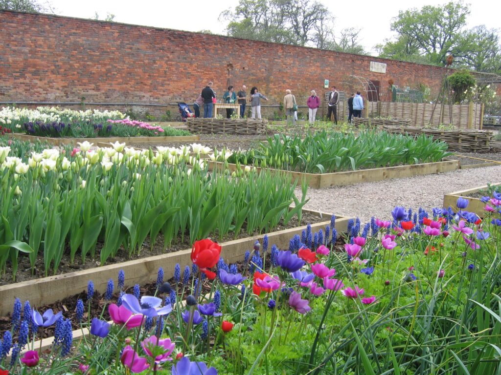 Rachel of Catkin guides interested fellow flower growers around her first cutting garden set out in raised beds within a garden centre.