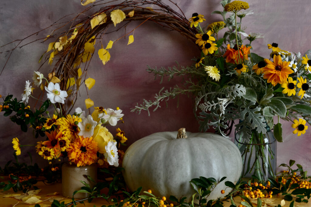 Harebell and Bee use seasonal ingredients for autumn in this still life arrangement with the rich yellows and golds of rudbeckia blooms, golden pyracantha berries and the buttery tones of silver birch leaves on the turn. A large silver green pumpkin sits between two vases of rudbeckia flowers on a wooden table.