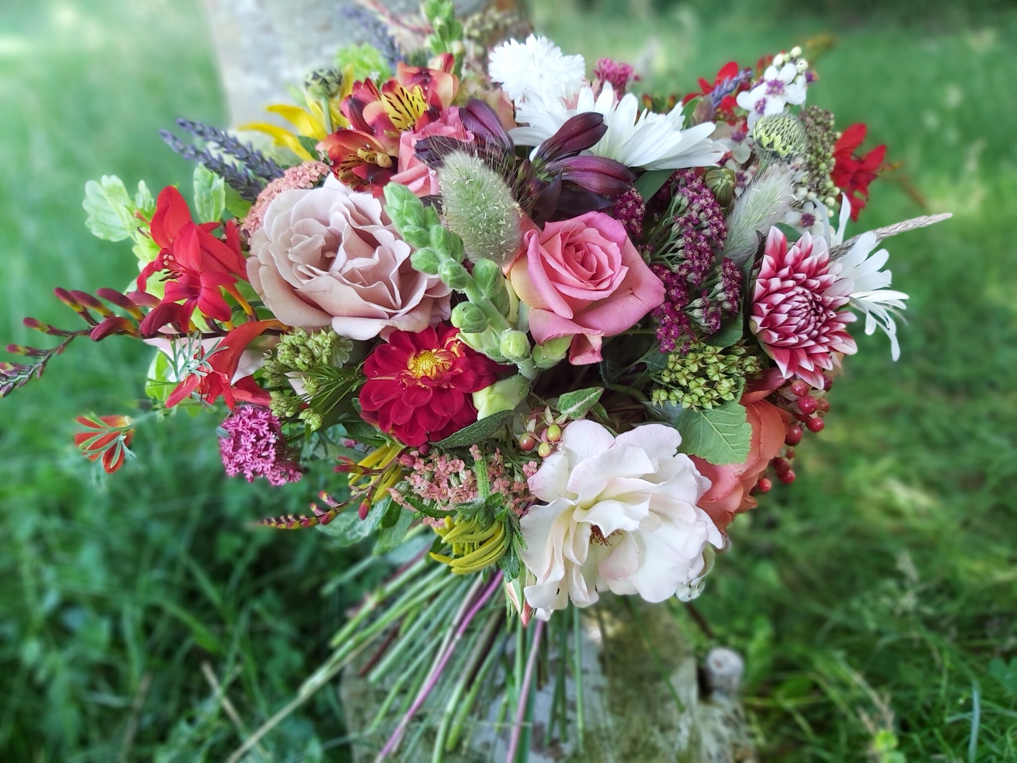 Foliage for flower arranging Flowers from the Farm
