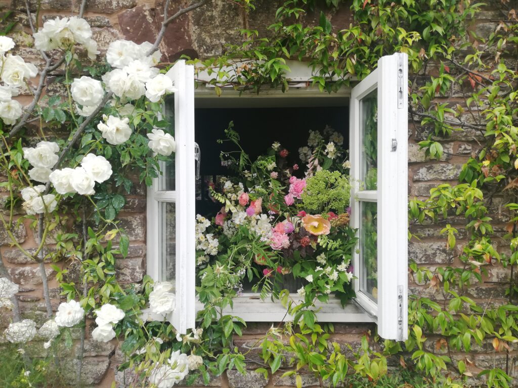 An open window in a stone farmhouse is filled with an urn of roses, foxgloves, scented jasmine trails and the pick of June's cut flowers. Photo: Farhill Flowers