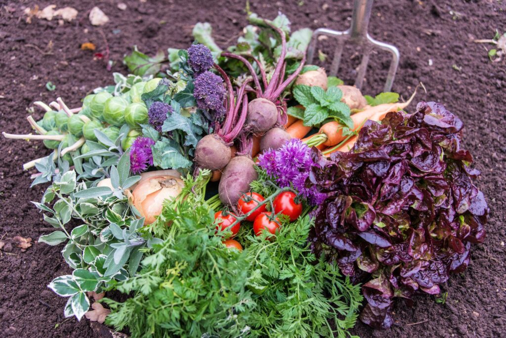 A non traditional funeral arrangement for a keen gardener decorated with colourful vegetables by Field House Flowers.