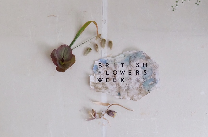 A simple graphic for British Flowers Week by floral artist Fiona Pickles of Firenza FLowers. A torn scrap of paper bears the words British Flowers Week, accompanied by a delicate stem of quaking grass, a head of plummy hellebore and underlined by a small dried fritillary.