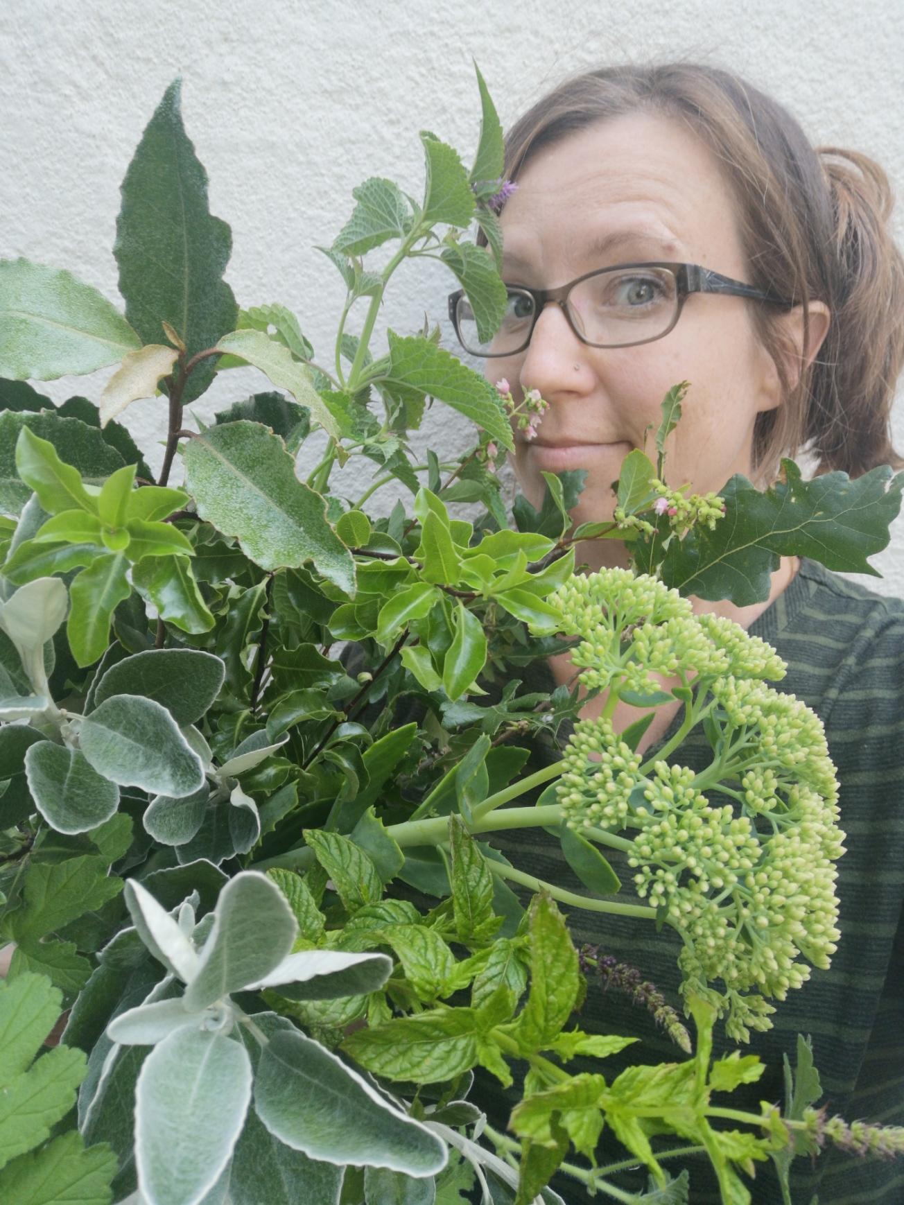 Foliage for flower arranging Flowers from the Farm