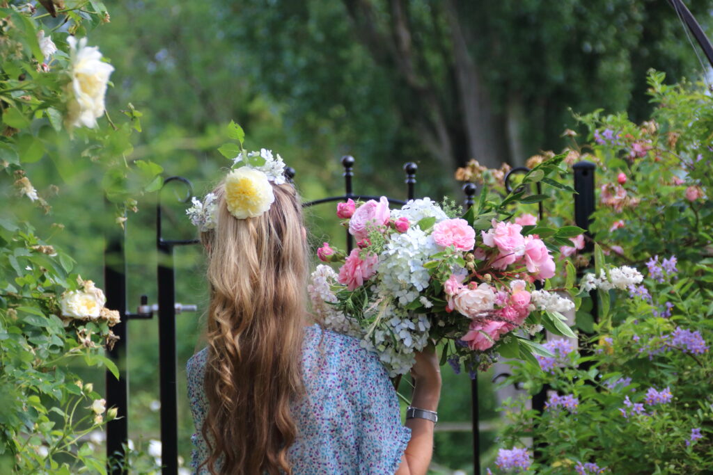 Heather and Hedgerow gather an abundant armful of British cut flowers for British Flowers Week. These scented soft pink garden roses are at their peak in June.