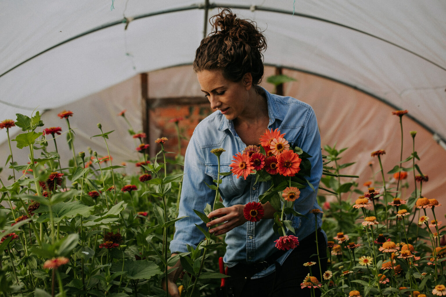 Home Flowers from the Farm