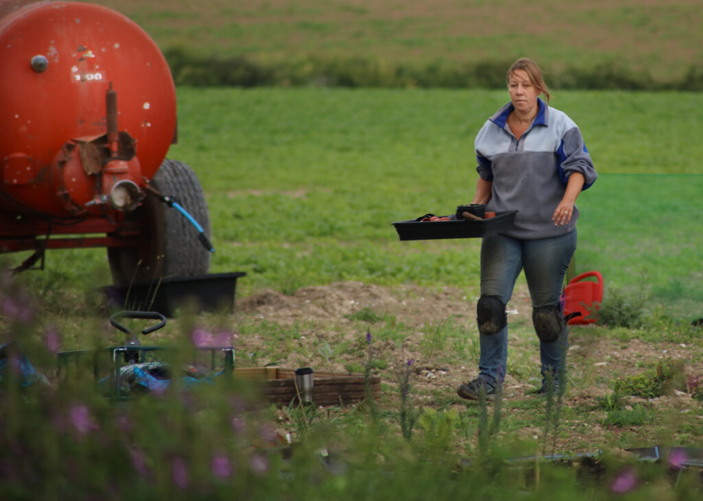 Debbie of Nature's Posy works in the field at her flower farm carrying empty seed trays back to her trolley after planting out flowers in her cutting beds.