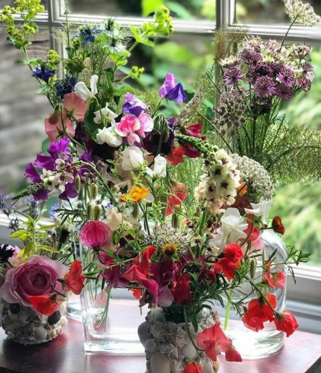 A collection of vases sit on a polished wood table in front of a window. They are filled with British cut flowers - sweet peas, astrantia, quaking grass, lady's mantle, roses.... by Posy Flowers.