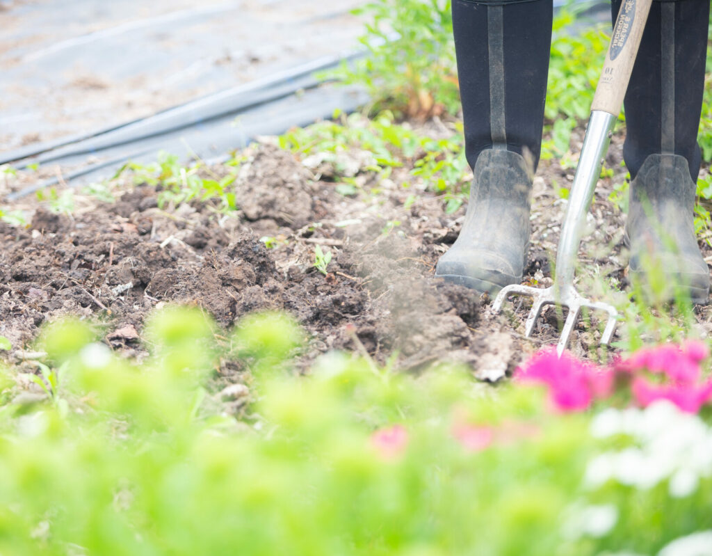 Close up of wellington boots and a fork in the soil at Tuckshop Flowers.