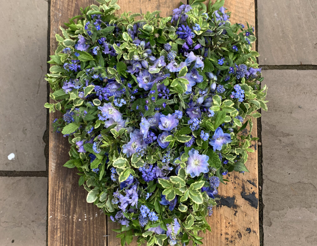 A spring funeral heart tribute with scabious, bluebells and variegated foliage by The Posy Patch