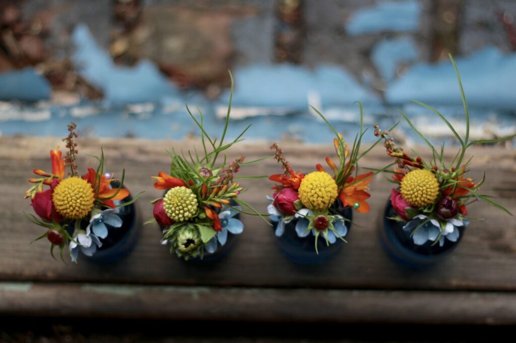 Late summer wedding buttonholes with yellow balls of craspedia, blue tweedier and bright pops of Crocosmia by Tuckshop Flowers, Birmingham.