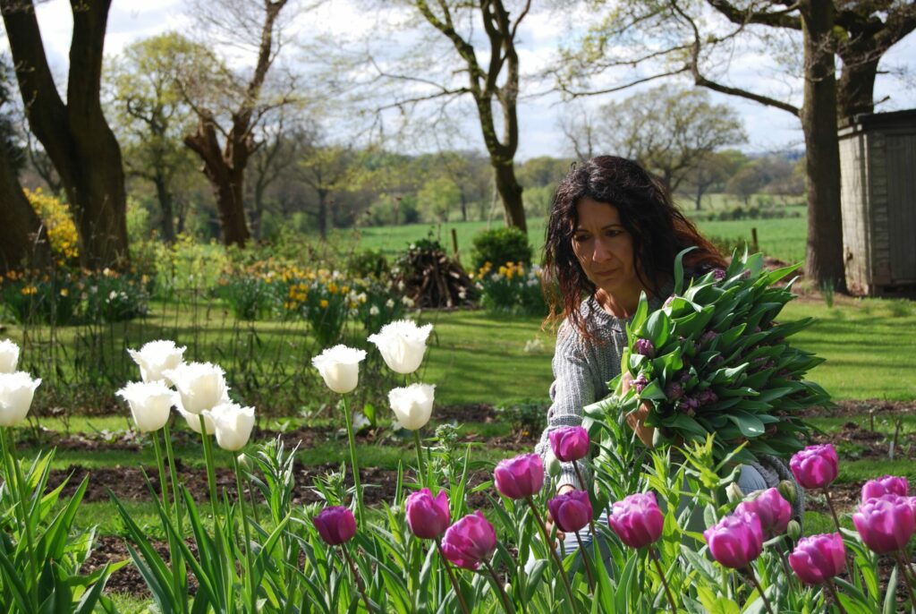 Emma cuts tulips in the field at the Urban Flower Farm