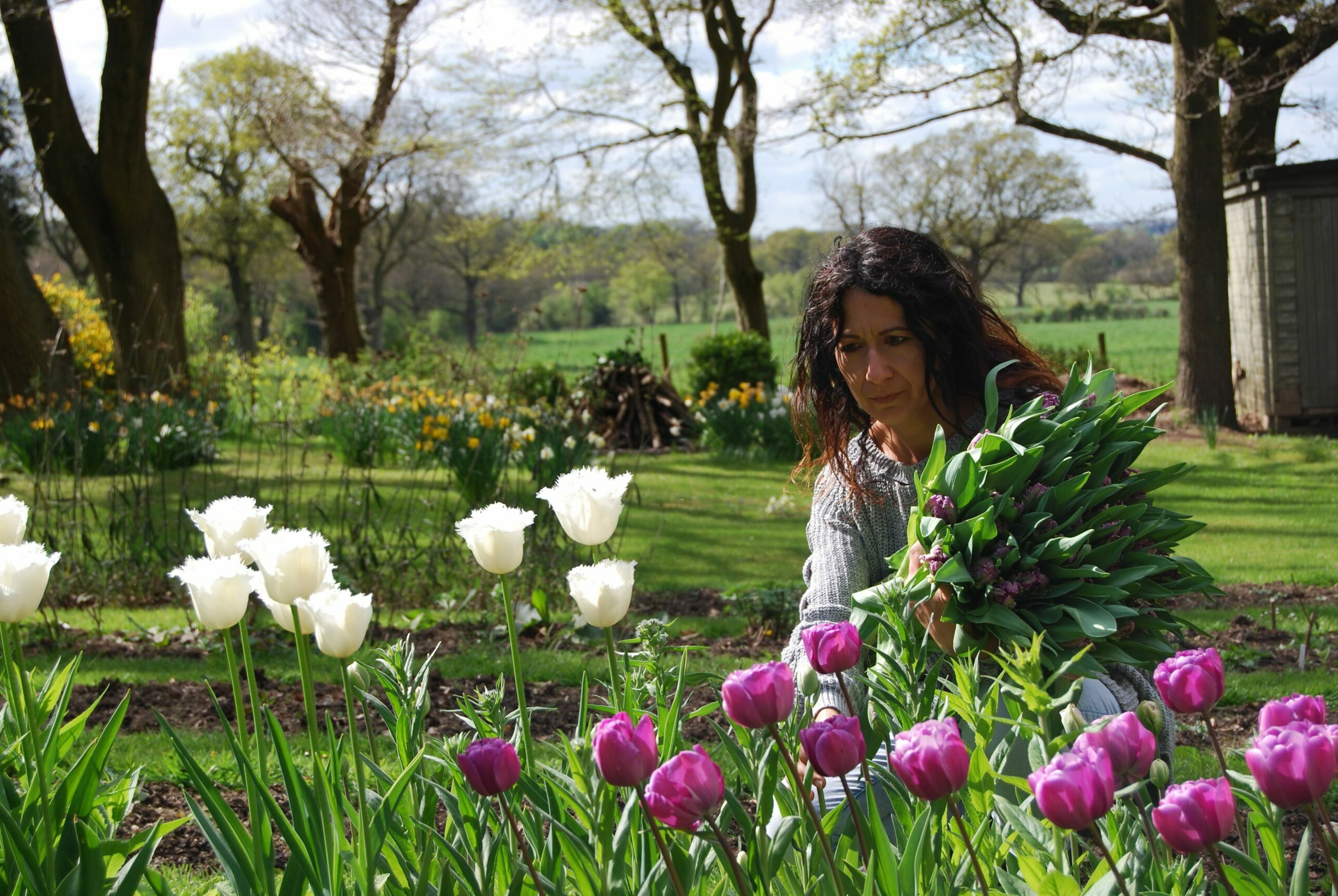 Emma's cornish hot sale flowers