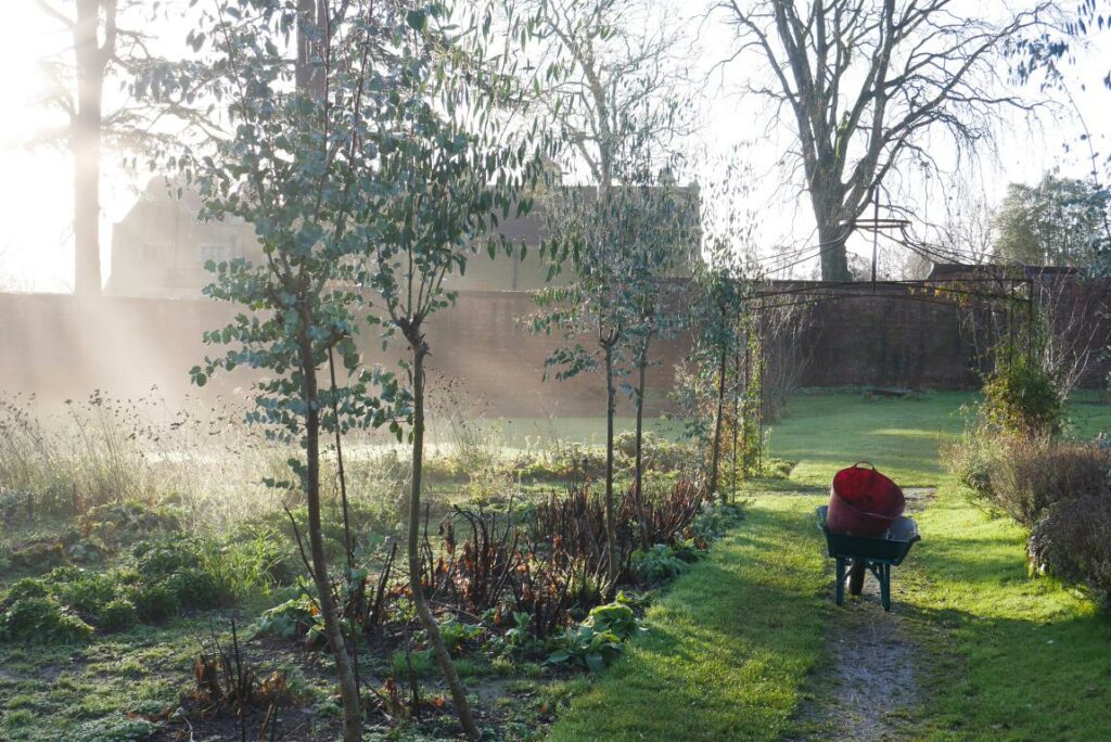 Mist rises over the walled garden at Stokesay Flowers in the early morning.