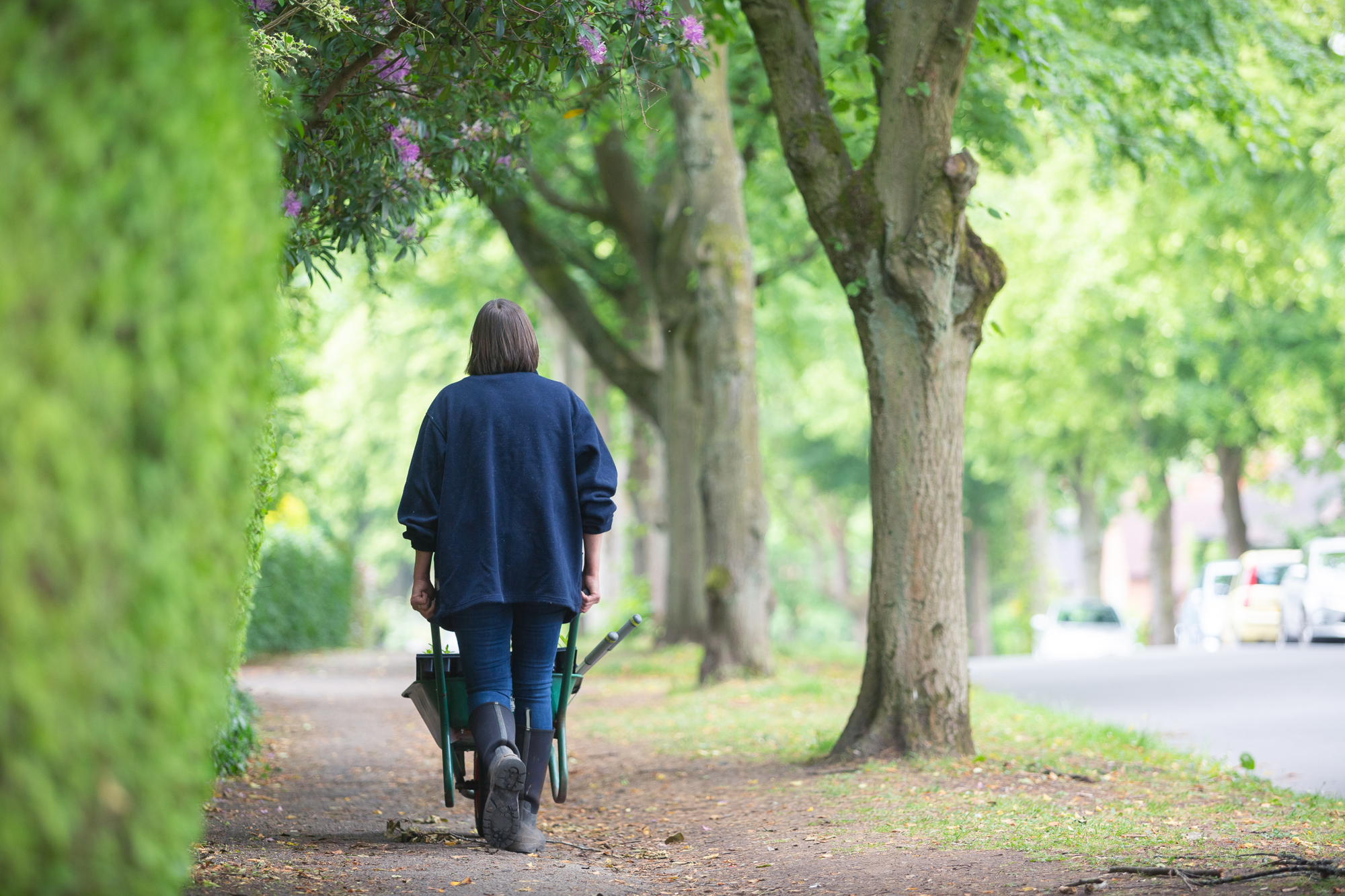 Carole pushes her wheelbarrow through the streets of Bournville on the way to her flower plot. Tuckshop Flowers - photo: Jenny Stewart Photography