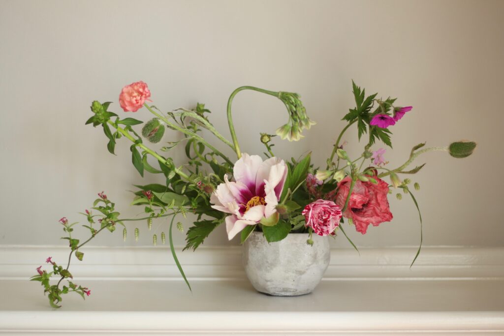 Tuckshop Flowers May arrangement in a concrete bowl with tree peony and an allium nectaroscordum sicculum curving over the top. 