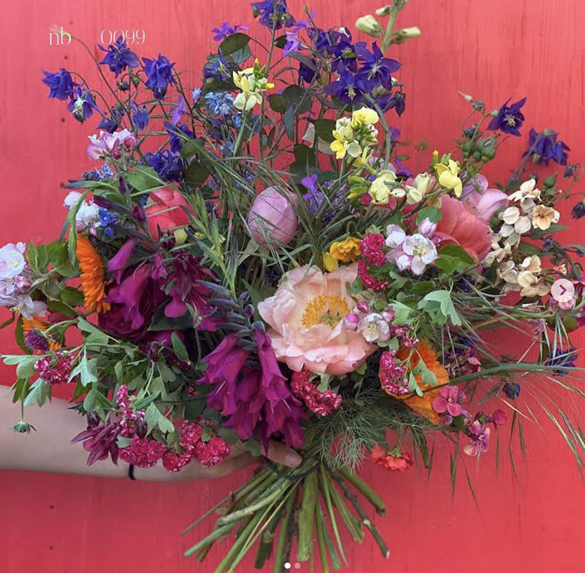 All the colour of the cutting patch - Nice Bunch, Somerset