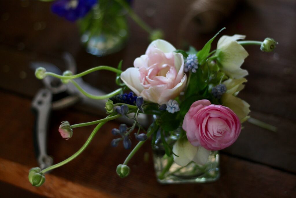 A small jar of spring flower heads - tulips and ranunuculus - sit on the table with a pair of secateurs.