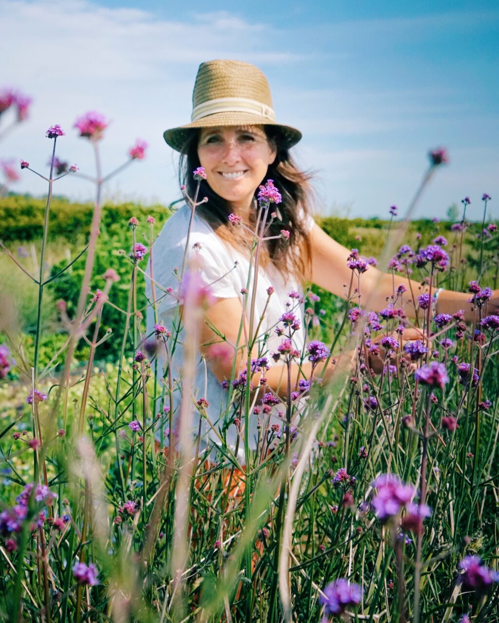 Amber Partner cutting in her flower fields at Howe Farm Flowers through a sea of purple verbena against a blue sky