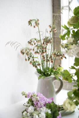 Allium nectaroscordum in a simple vase with grasses sit alongside a bouquet of lilac stocks and quaking grass for British Flowers Week 2021. Alexandra Barfoot Photography