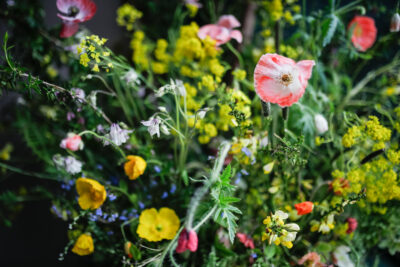 Close up detail of Rachel's wild window display with popped, woad and other interesting wild style flowers.