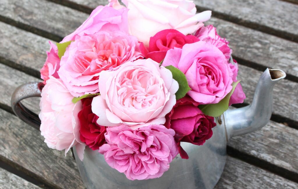 An large old zinc teapot filled with pink and deep red perfumed garden roses. Tuckshop Flowers, Birmingham