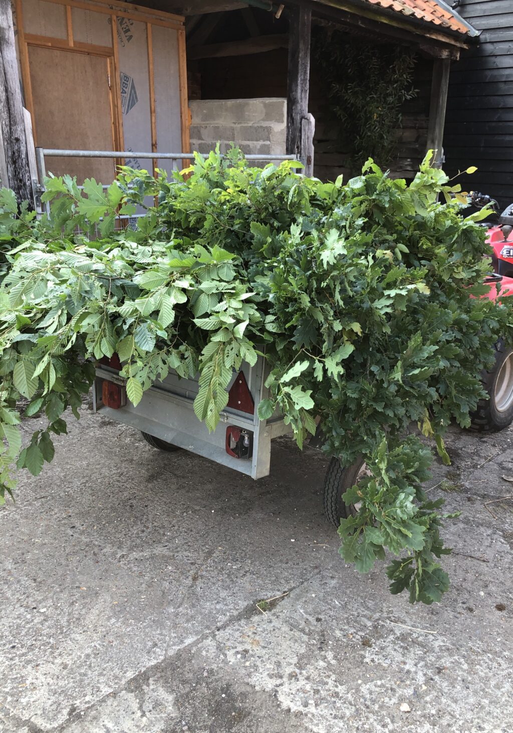 Large branches of foliage harvested at Moat Farm Flowers to be used whole in installation work