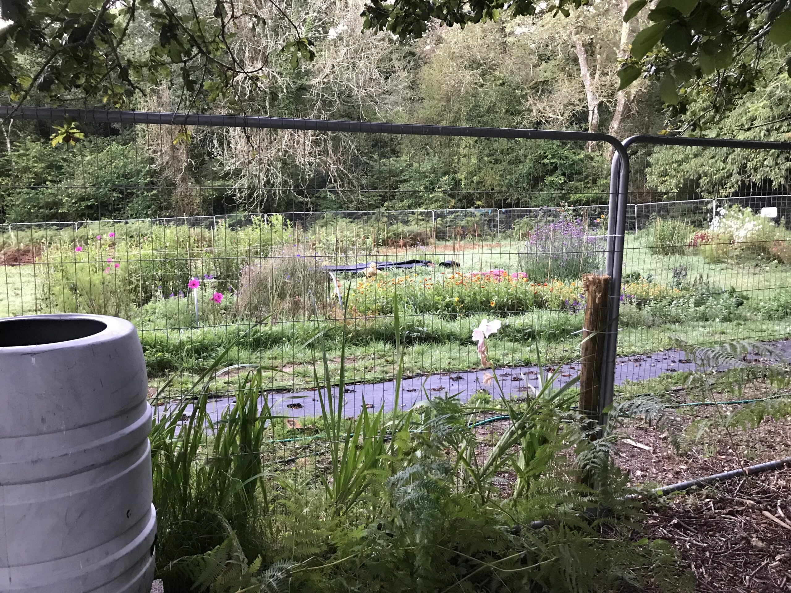 Substantial fencing is sometimes needed to keep the wildlife at bay