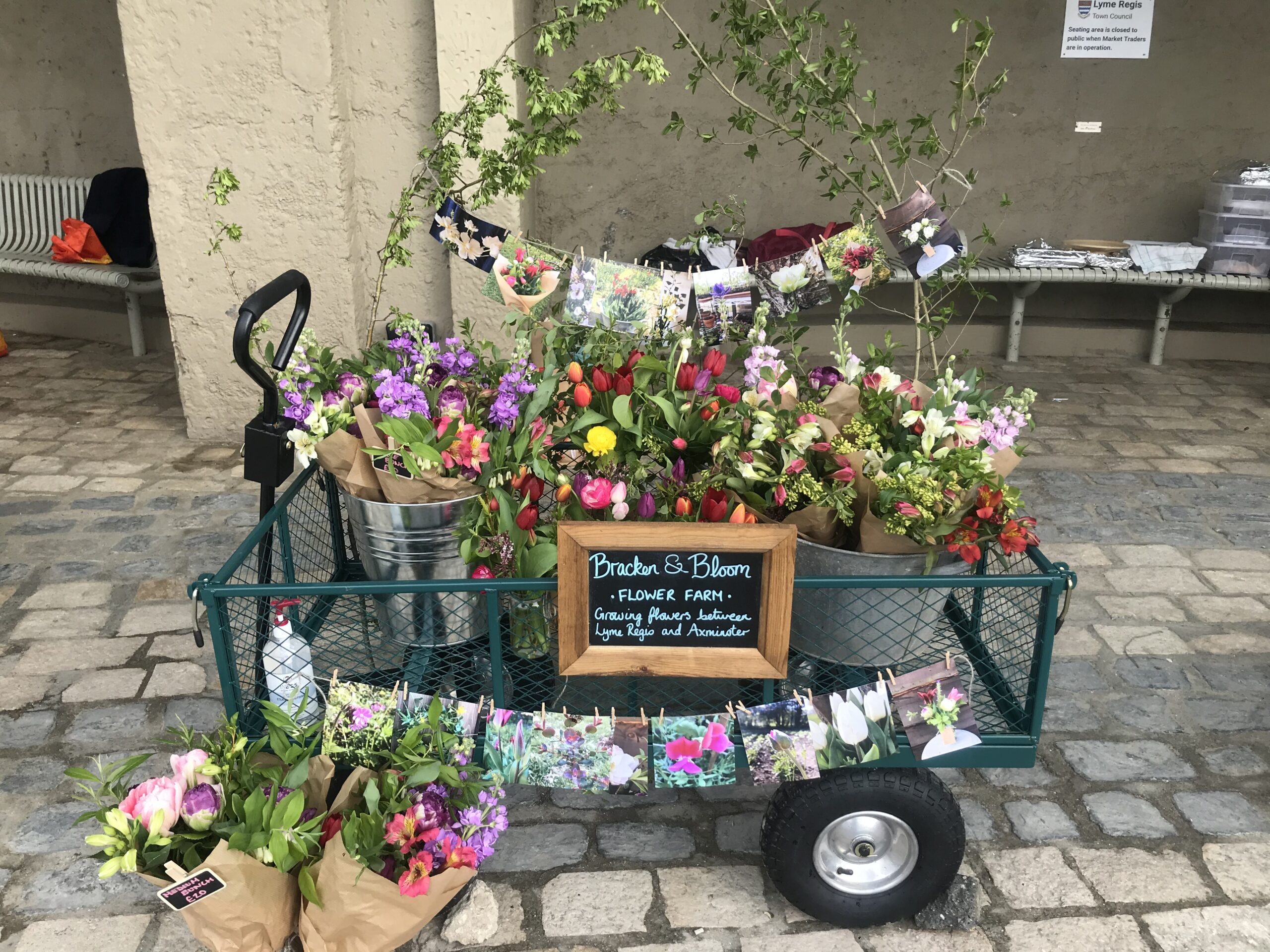 A colourful trolley-full of British spring blooms grown by Bracken & Bloom