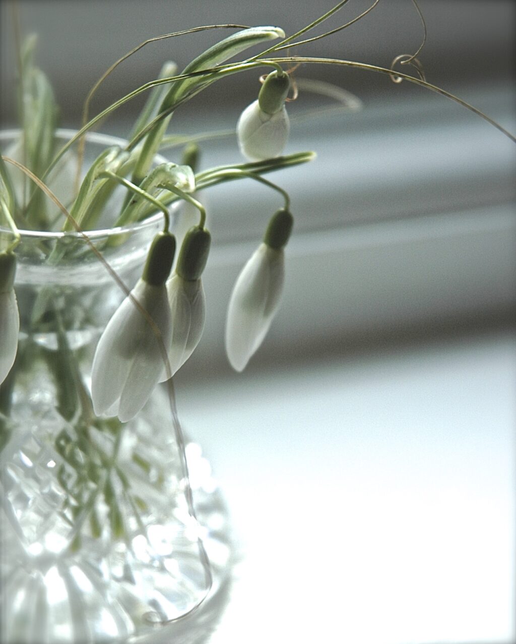 Simple snowdrops in a cut glass bud vase make a lovely arrangement to be appreciated up close.