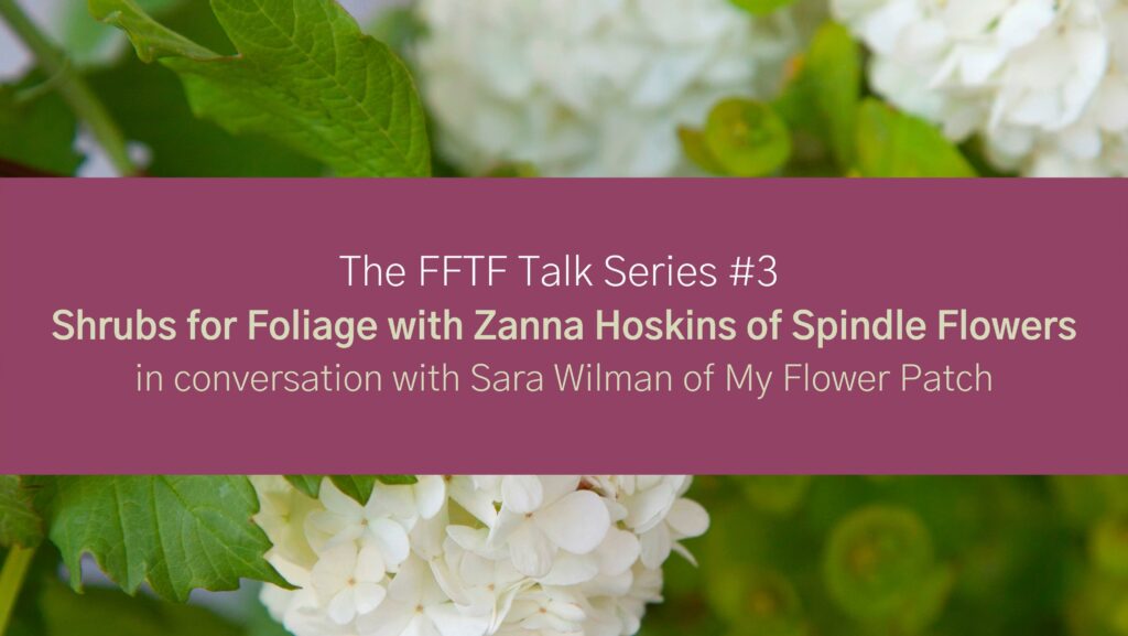 Online talk #3: Shrubs for foliage