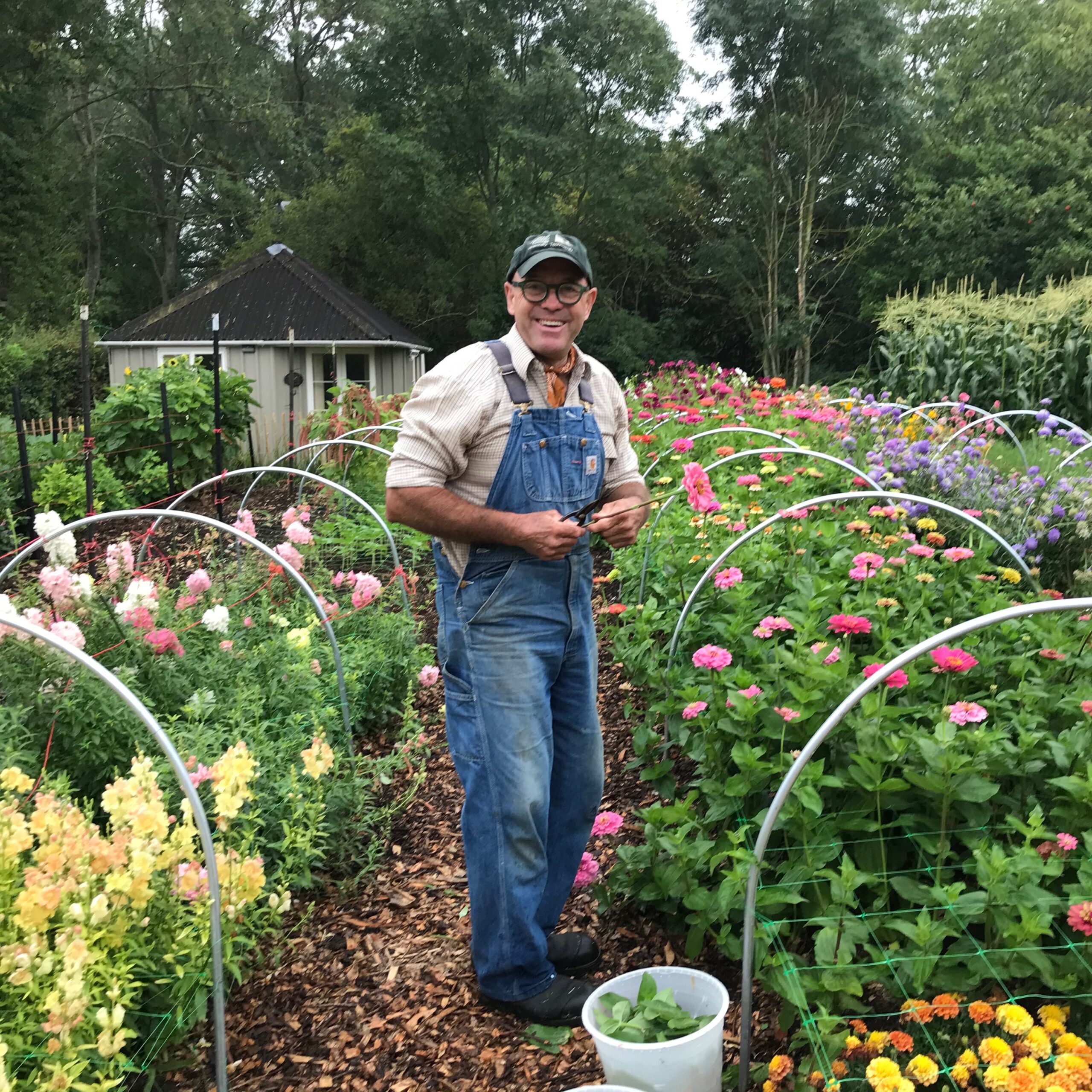 Some of the supremely healthy crops produced using the no dig method at Tin Shed Flower Farm