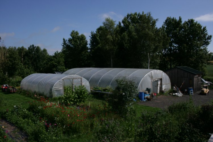 Flower Farming In Practice with Mill Pond Flower Farm Berwickshire
