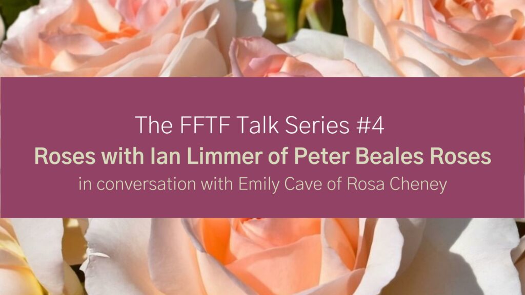 Online talk for Flowers from the Farm members about rose growing. Peter Beales Roses.