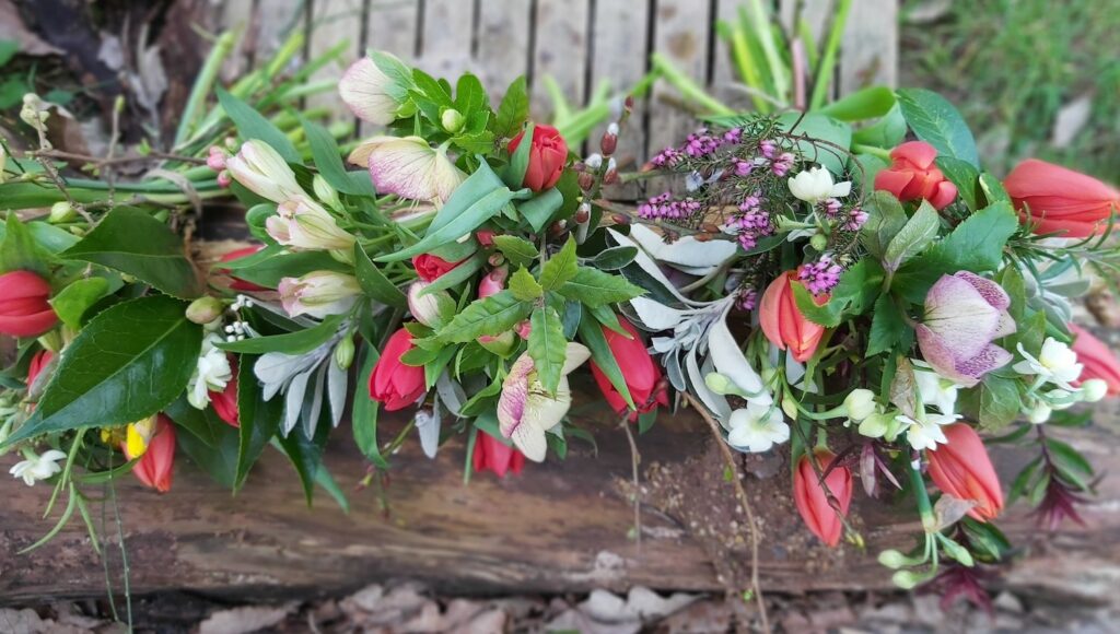 Winter posies of pink hellebores and red tulips by Chamomile and Cornflowers.