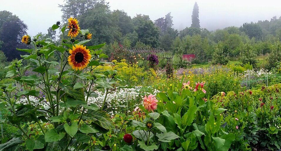 Tomnah'a Market Garden