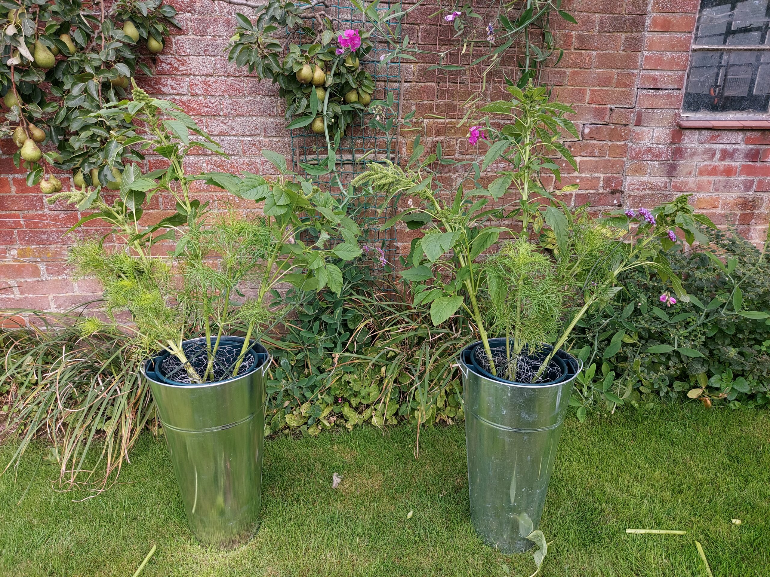 Even large arrangements can be supported by a simple combination of chicken wire and a little tape