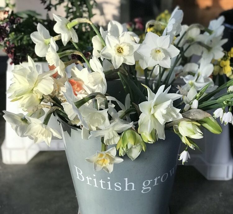 Home Flowers from the Farm