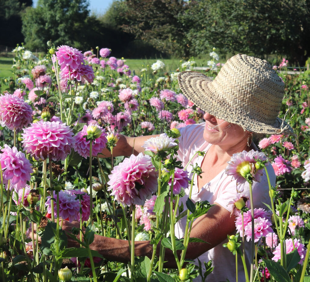 Micklems Farm Flowers