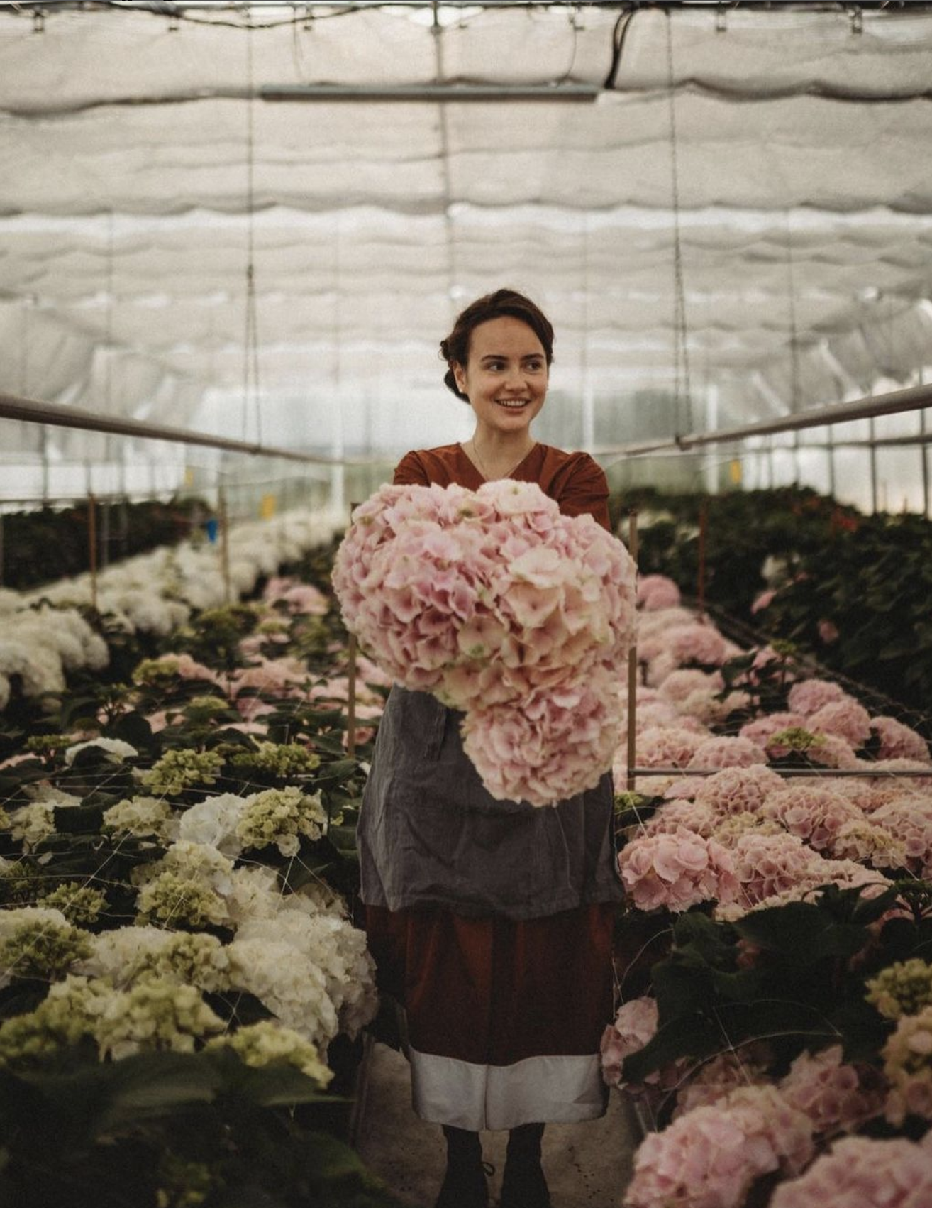 Yulia Zavalniuk holds some of the huge and beautiful hydrangea heads formerly grown at Villa Verde 