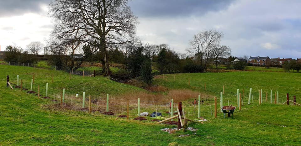 New hedges planted at Wye Valley Flowers in Gloucestershire will become a haven for wildlife in years to come