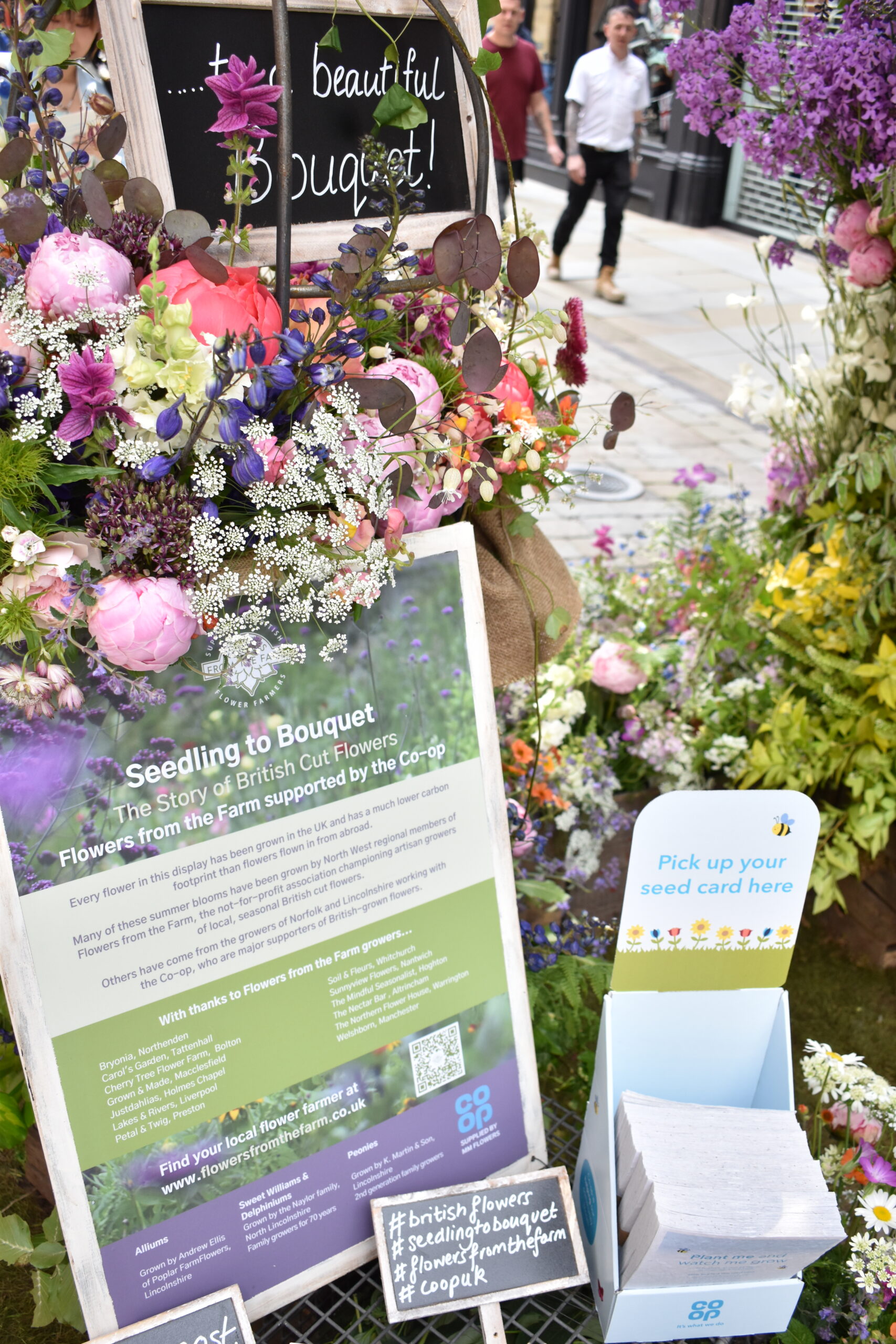 Information boards for the Flowers from the Farm display at the Manchester Flower Show