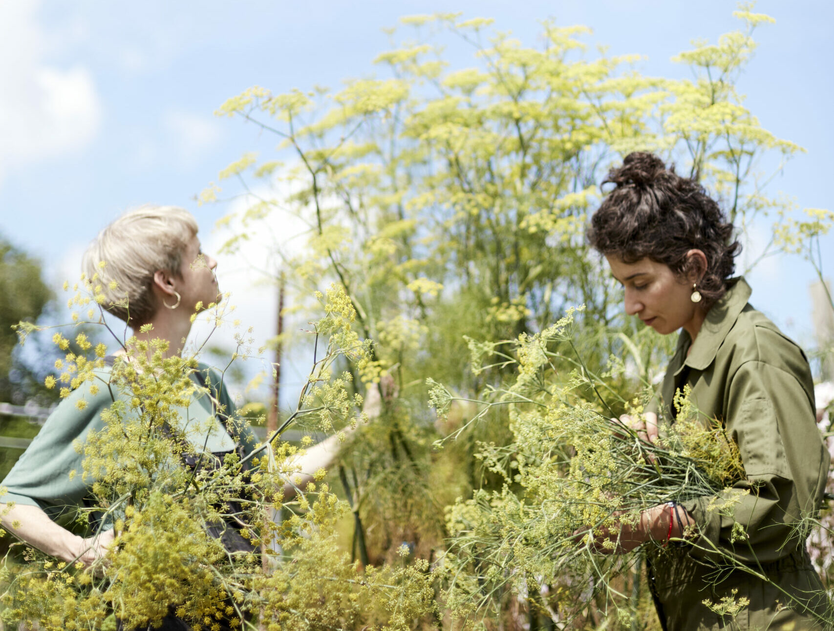 Marianne Mogendorff and Camila Romain of Wolves Lane Flower Company amongst the fennel on their plot