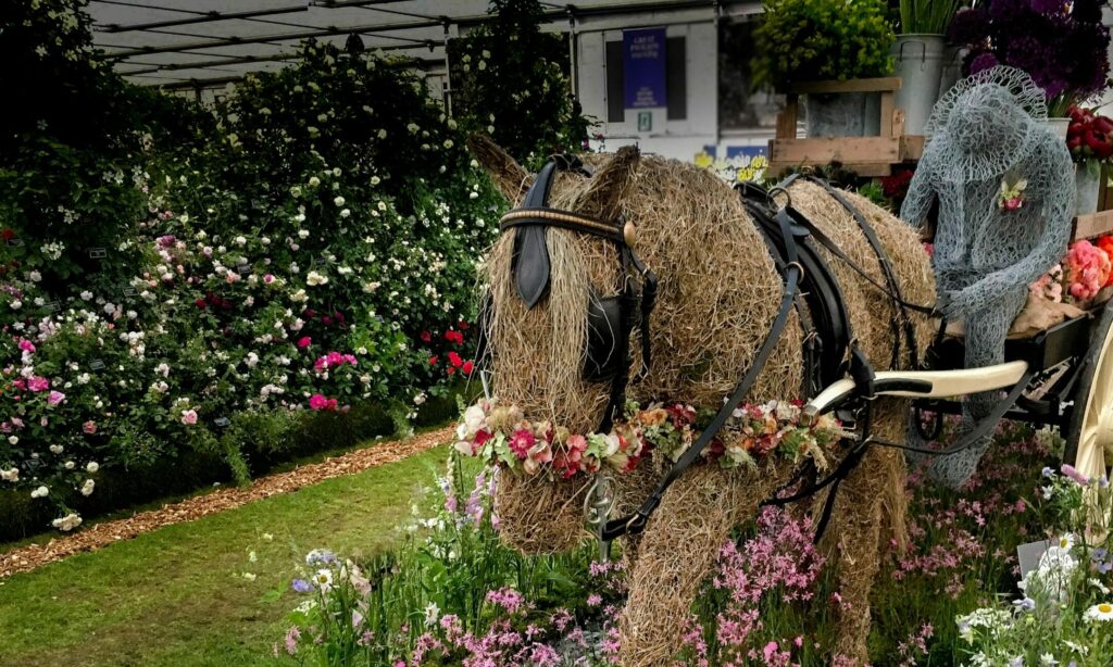 RHS Chelsea Flower Show 2018 Flowers from the Farm display