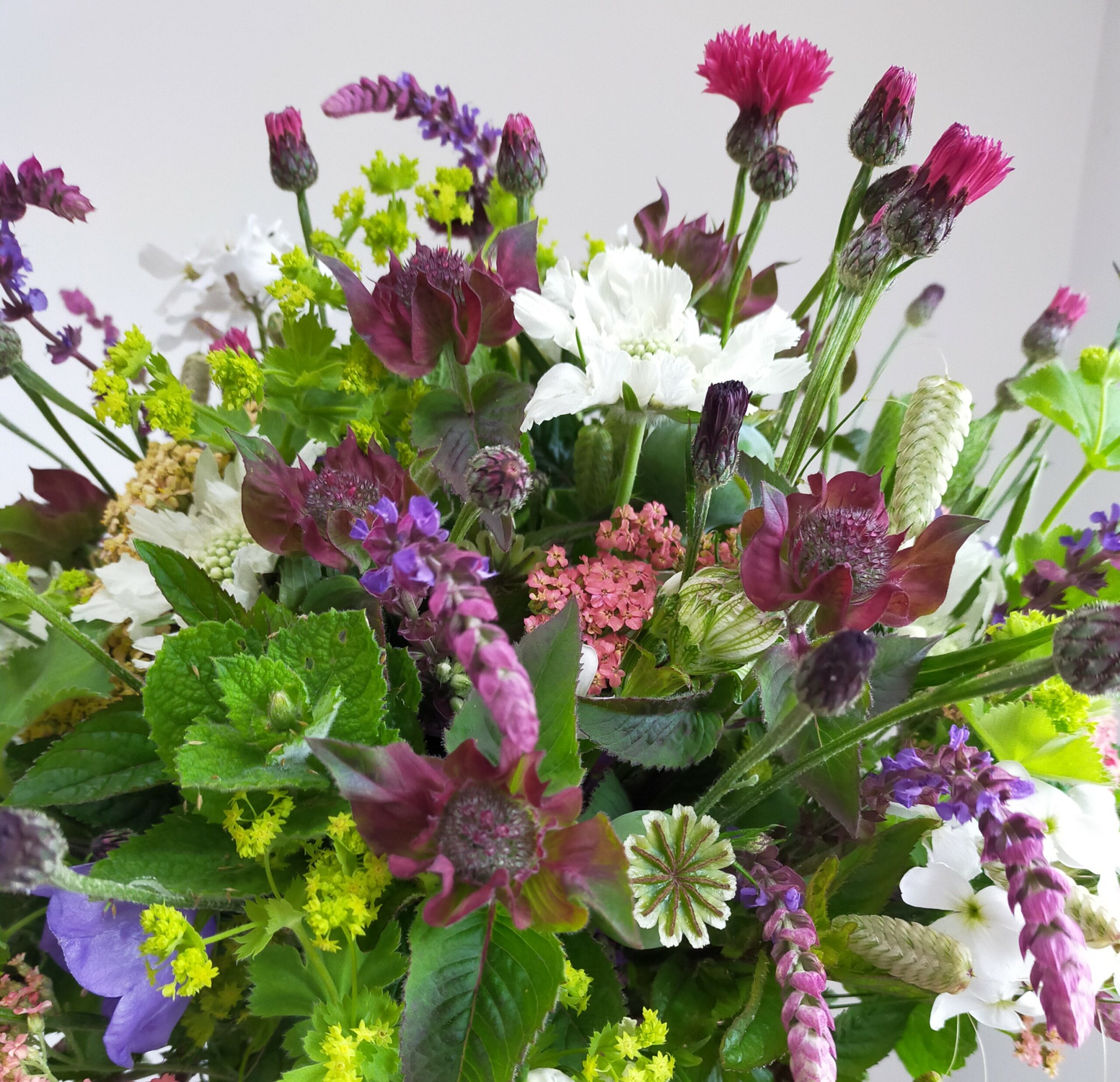 Friday Flowers with Old Farmhouse Flowers in Lincolnshire