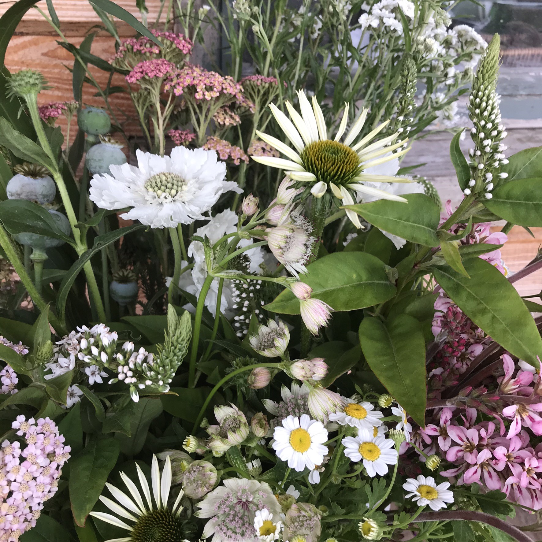 Grow Your Own Cut Flowers with Old Farmhouse Flowers Lincolnshire