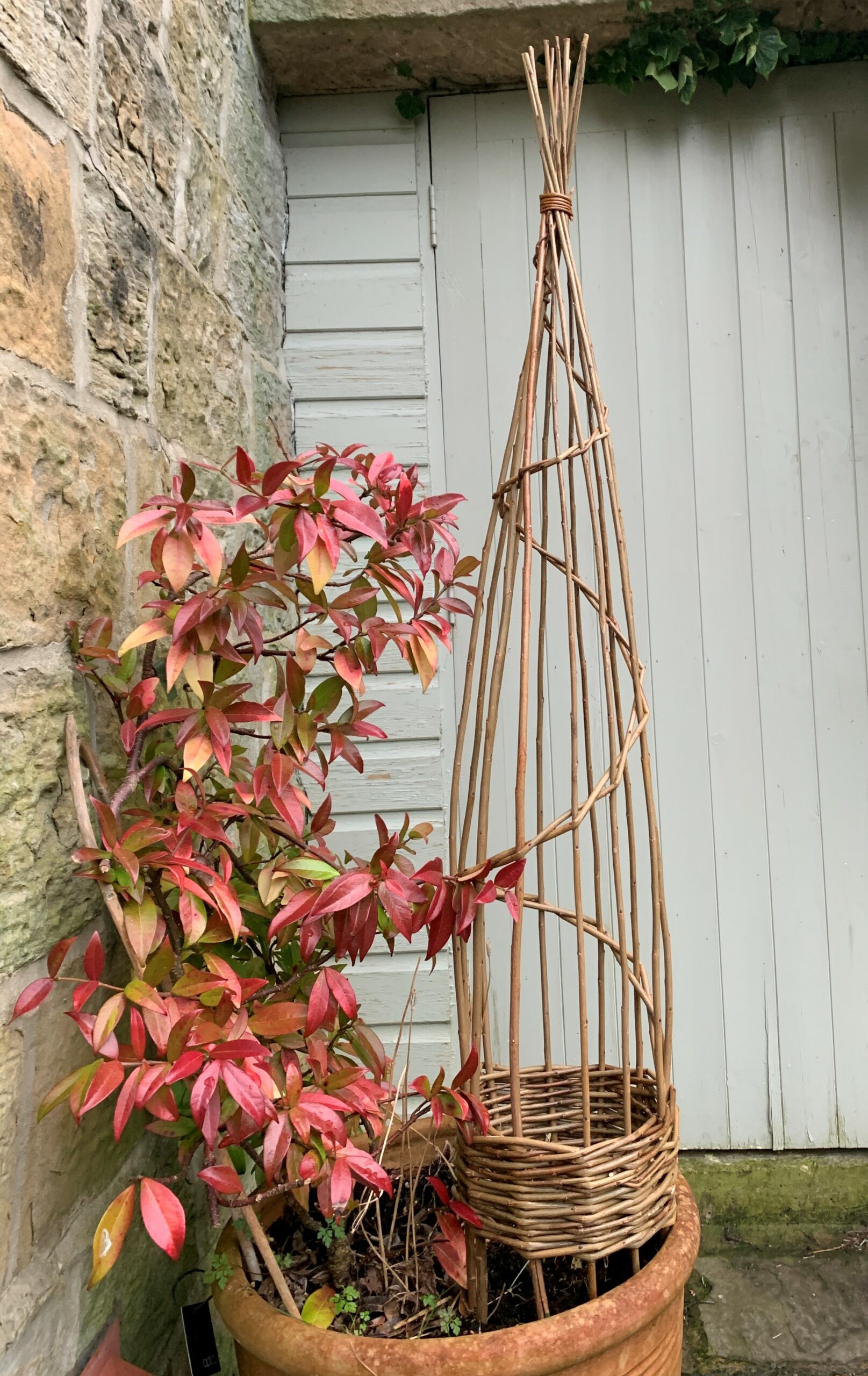 Willow Plant Support Workshop with Cherry Tree Farm Lancashire
