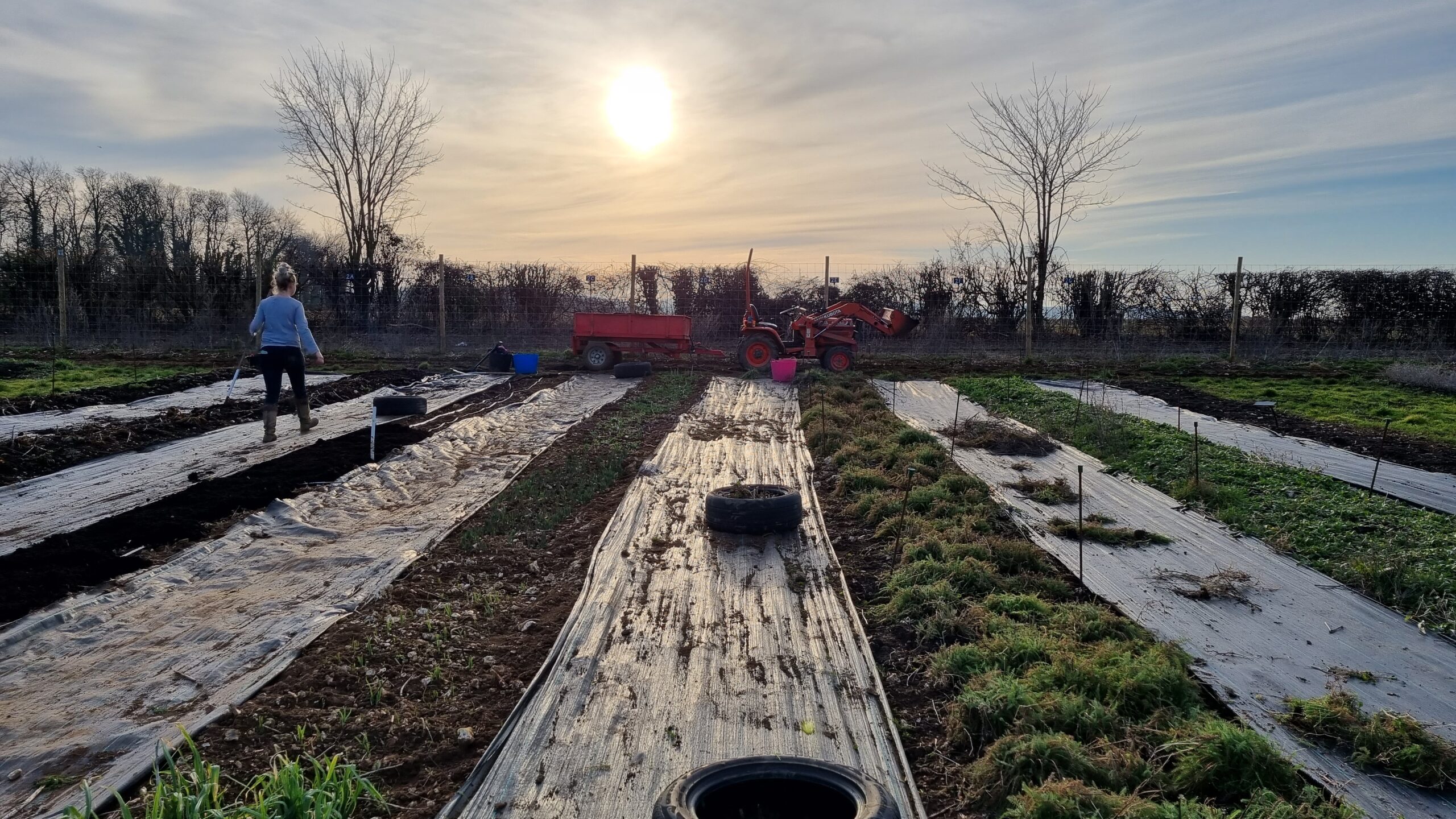 Mulching, weeding, cutting back and general tidying in preparation for a new season at Featherstone Flowers