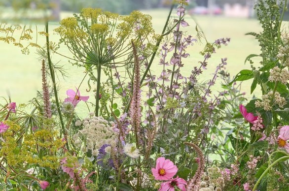Summer Meadows Workshop with Studio Seapink and Mill Pond Flower Farm Berwick Upon Tweed