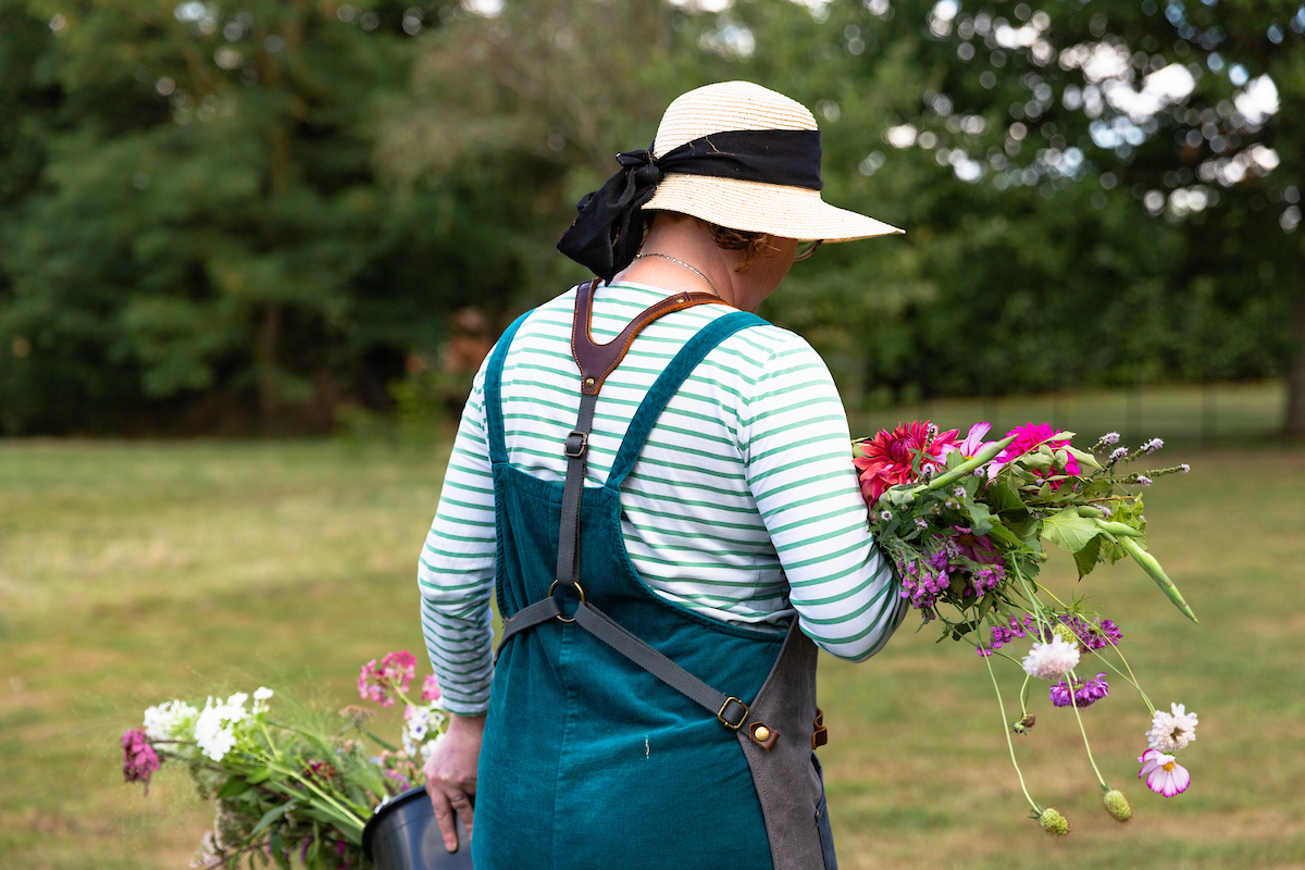 Introduction to cut flower growing with Meadows Flowers Staffordshire