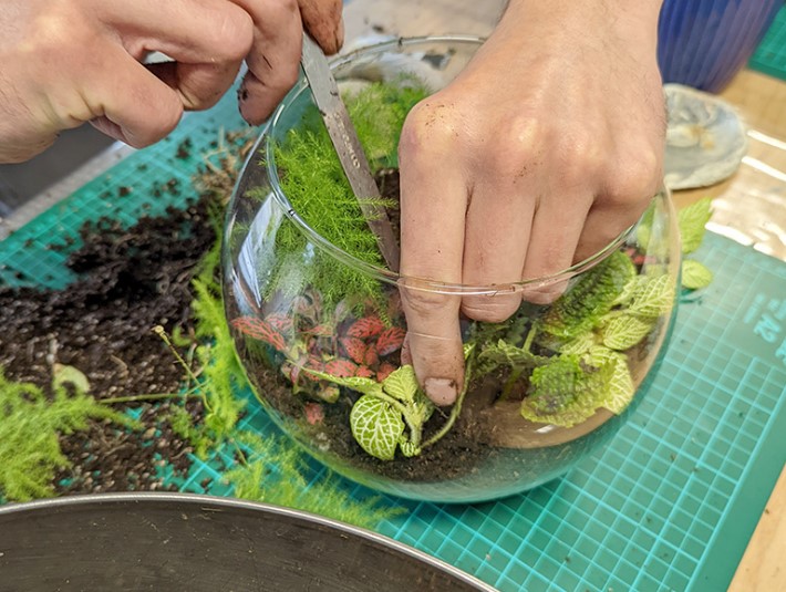 Make Your Own Terrarium with Sarah Smith of Eden Valley Flowers